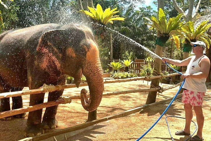 Bezoek aan een ethisch olifantencentrum op Koh Samui, Thailand, waarbij olifanten in hun natuurlijke habitat worden geobserveerd, foto 47 | wizardtrip