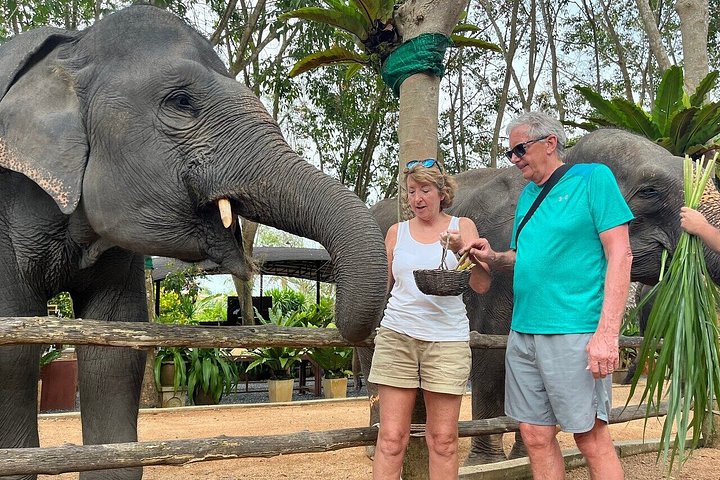 Bezoek aan een ethisch olifantencentrum op Koh Samui, Thailand, waarbij olifanten in hun natuurlijke habitat worden geobserveerd, foto 48 | wizardtrip