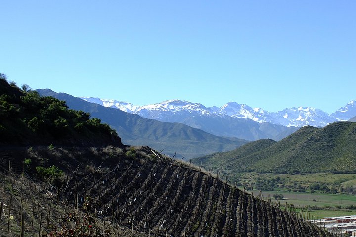 Naturskön Anderstur med Inkansjön och vingårdsbesök från Santiago, Chile, foto 19 | wizardtrip