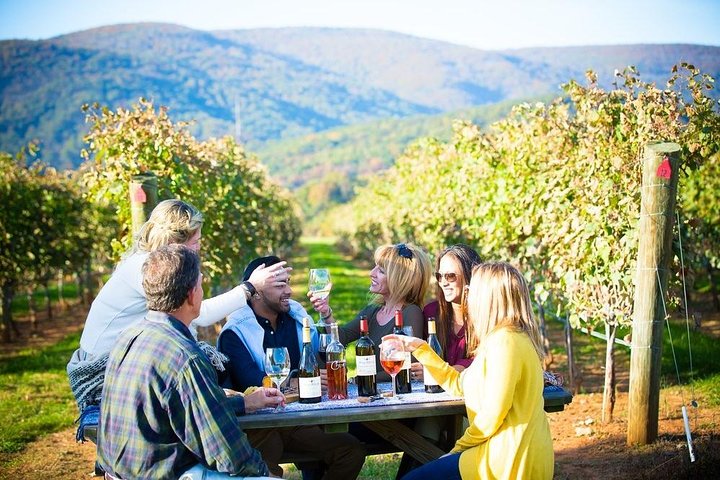 Maipo Valley Vinrundtur: 4 Vingårde, Fantastisk Udsigt, Sjove Smagninger | wizardtrip
