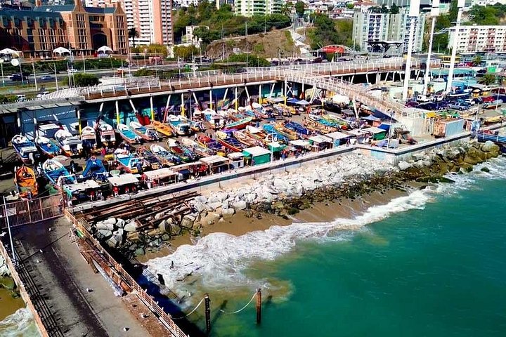 Excursion d'une journée de Santiago à Viña del Mar, Valparaíso et une cave de la vallée de Casablanca, photo 11 | wizardtrip