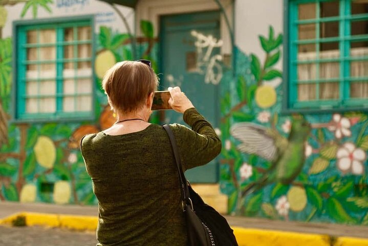 Excursion d'une journée de Santiago à Viña del Mar, Valparaíso et une cave de la vallée de Casablanca, photo 13 | wizardtrip