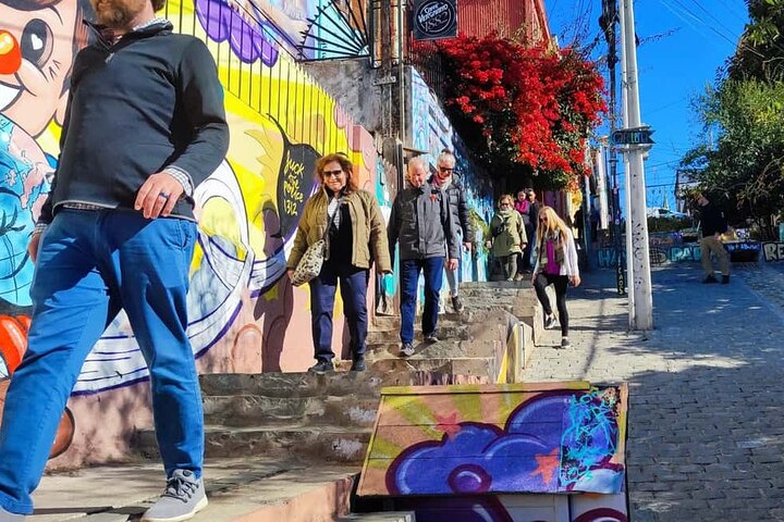Excursion d'une journée de Santiago à Viña del Mar, Valparaíso et une cave de la vallée de Casablanca, photo 29 | wizardtrip