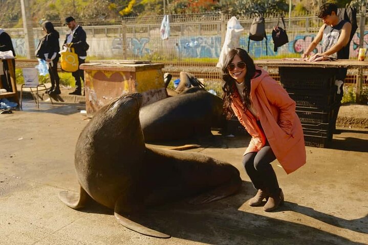 Excursion d'une journée de Santiago à Viña del Mar, Valparaíso et une cave de la vallée de Casablanca, photo 34 | wizardtrip