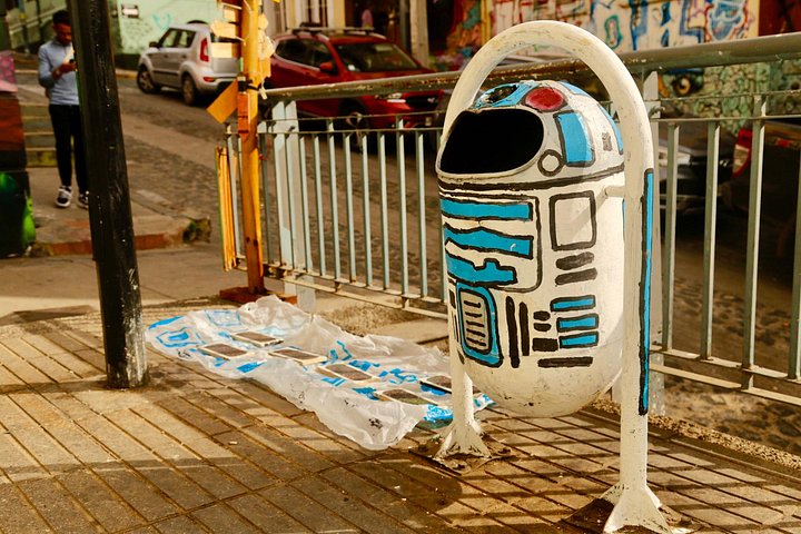 Heldagstur, der udforsker Valparaisos farverige gader, Viña del Mars kyst og Casablanca-dalens vingårde fra Santiago, foto 38 | wizardtrip