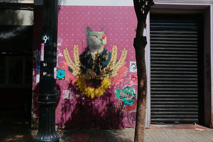 Privé halve dag tour van Santiago, Chili, met bezienswaardigheden en lokaal leven, foto 11 | wizardtrip