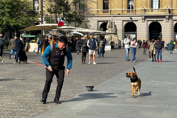Privé halve dag tour van Santiago, Chili, met bezienswaardigheden en lokaal leven, foto 20 | wizardtrip