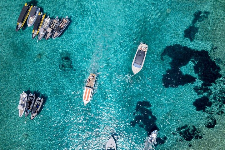 Avventura in motoscafo esplorando la Grotta Azzurra, Hvar e le isole circostanti da Spalato, Croazia, foto 17 | wizardtrip
