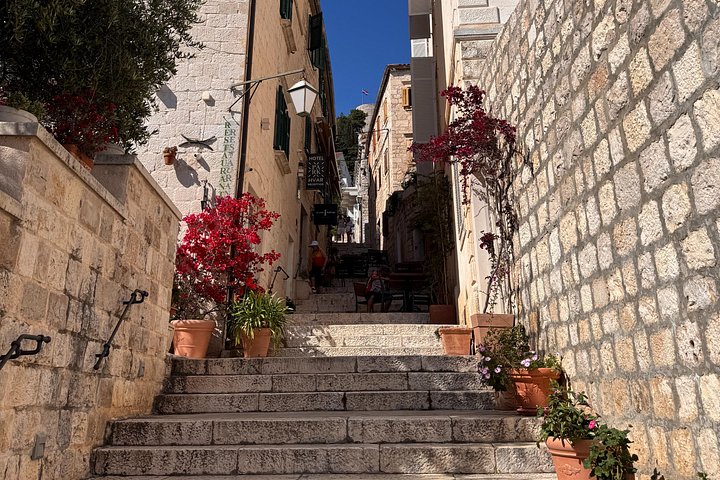 Avventura in motoscafo esplorando la Grotta Azzurra, Hvar e le isole circostanti da Spalato, Croazia, foto 31 | wizardtrip