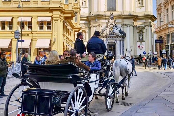 Visite guidée à vélo explorant les sites historiques et les rues charmantes de Vienne, photo 11 | wizardtrip