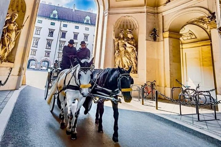 Visite guidée à vélo explorant les sites historiques et les rues charmantes de Vienne, photo 23 | wizardtrip