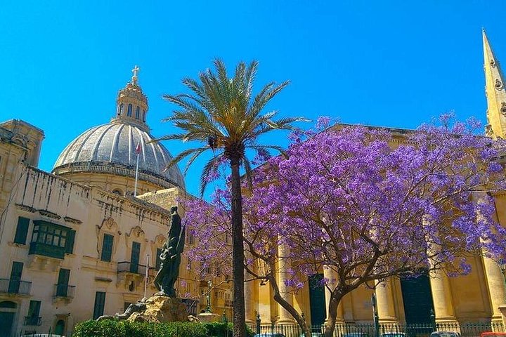 Esplora la storica La Valletta in un tour guidato a piedi, scoprendo le sue strade, giardini e viste sul porto, foto 9 | wizardtrip