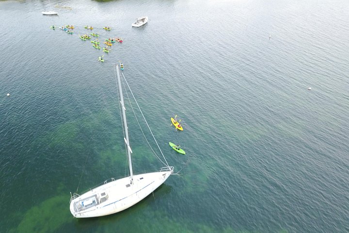 Kajakktur i Fajardos selvlysende bukt, Puerto Rico, som viser glødende vann og mangrovetunneler, foto 6 | wizardtrip