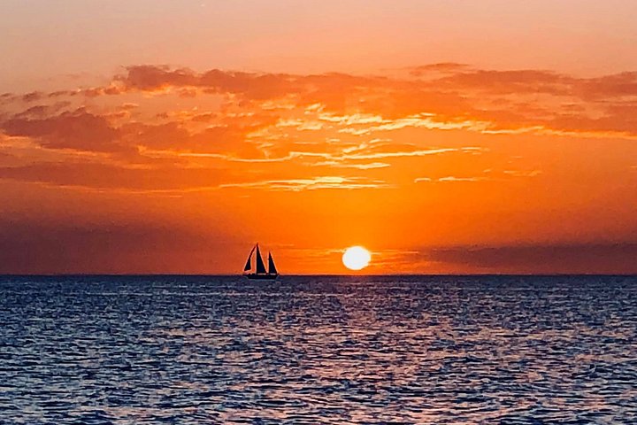 アンナマリア島、サラソタ周辺のイルカウォッチングとサンセットクルーズ、写真9 | wizardtrip