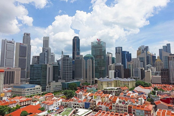 Private Autotour zu Singapurs Wahrzeichen, Kultur und malerischen Ausblicken, Foto 11 | wizardtrip