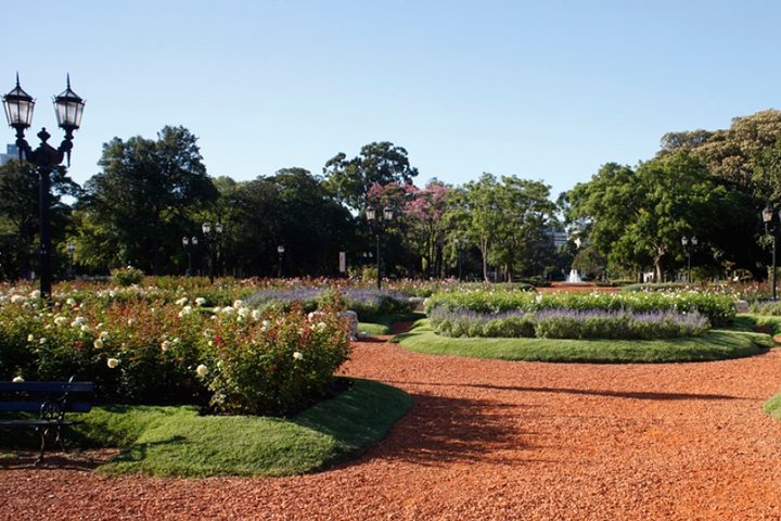 Privat guidet tur som utforsker de livlige gatene og ikoniske landemerkene i Buenos Aires, foto 13 | wizardtrip