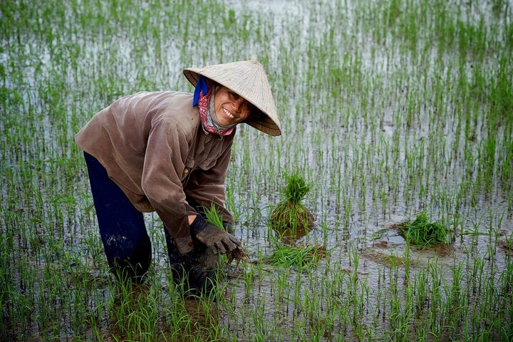 Vélo à travers la campagne luxuriante de Hoi An, visite de villages locaux et découverte de la vie traditionnelle vietnamienne, photo 13 | wizardtrip