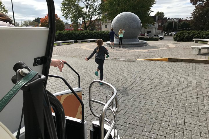 Passeie pelas ruas históricas de Richmond em um tuk-tuk elétrico único, visitando marcos como Monument Avenue e Hollywood Cemetery, foto 7 | wizardtrip