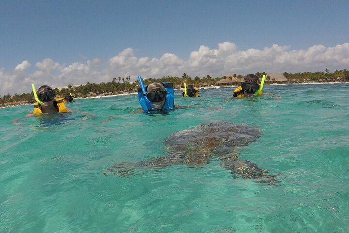 メキシコ、アクマルでウミガメと泳ぐ、ユニークな自然との出会い、写真24 | wizardtrip