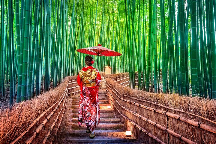 Une visite guidée en bus présentant le sanctuaire emblématique de Fushimi Inari à Kyoto, la forêt de bambous d'Arashiyama, Kinkaku-ji et Kiyomizu-dera, photo 8 | wizardtrip