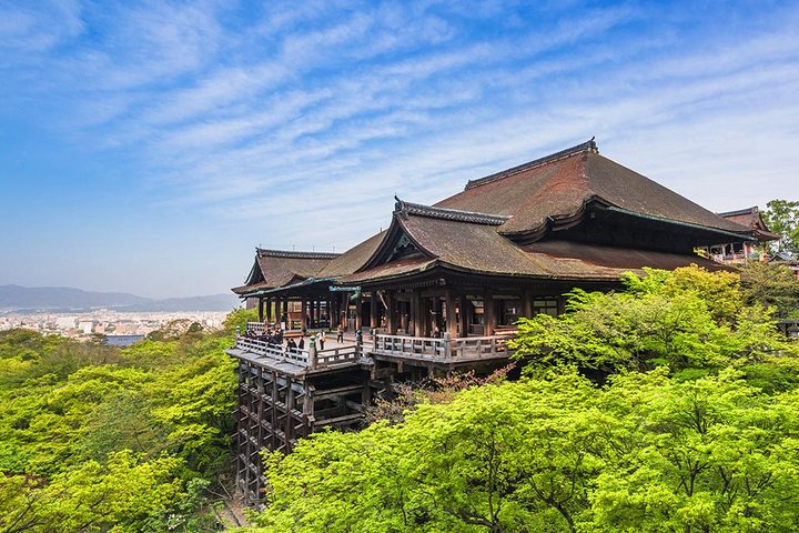 Une visite guidée en bus présentant le sanctuaire emblématique de Fushimi Inari à Kyoto, la forêt de bambous d'Arashiyama, Kinkaku-ji et Kiyomizu-dera, photo 17 | wizardtrip