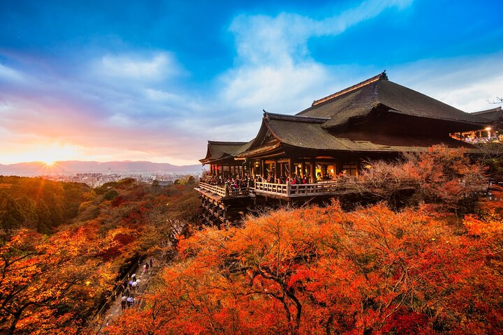 Une visite guidée en bus présentant le sanctuaire emblématique de Fushimi Inari à Kyoto, la forêt de bambous d'Arashiyama, Kinkaku-ji et Kiyomizu-dera, photo 18 | wizardtrip