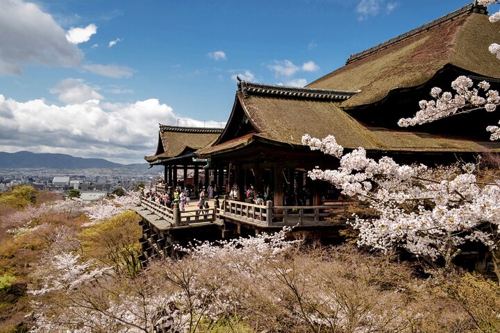 Une visite guidée en bus présentant le sanctuaire emblématique de Fushimi Inari à Kyoto, la forêt de bambous d'Arashiyama, Kinkaku-ji et Kiyomizu-dera, photo 20 | wizardtrip