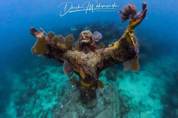 Snorkelisti che esplorano colorate barriere coralline e diversificata vita marina nelle Florida Keys, foto 8 | wizardtrip