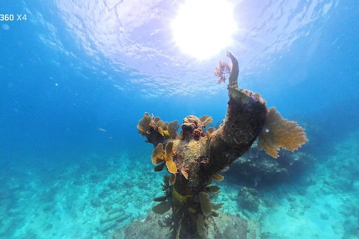Snorkelisti che esplorano colorate barriere coralline e diversificata vita marina nelle Florida Keys, foto 9 | wizardtrip