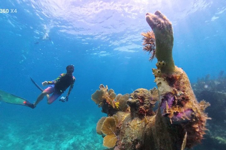 Snorkelisti che esplorano colorate barriere coralline e diversificata vita marina nelle Florida Keys, foto 11 | wizardtrip