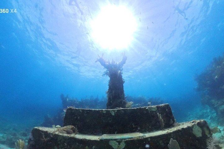 Snorkelisti che esplorano colorate barriere coralline e diversificata vita marina nelle Florida Keys, foto 13 | wizardtrip