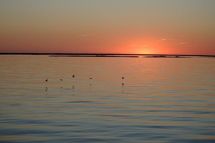 Desfrute de um belo cruzeiro ao pôr do sol num catamarã no parque natural da Ria Formosa, perto de Faro, Portugal, foto 9 | wizardtrip