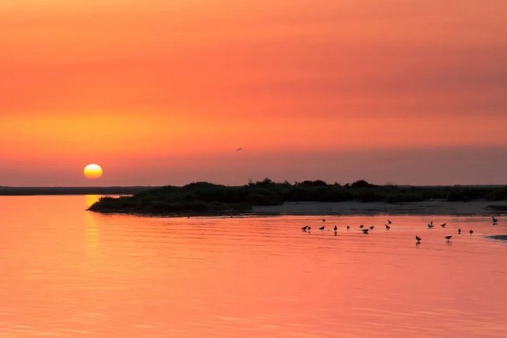 Desfrute de um belo cruzeiro ao pôr do sol num catamarã no parque natural da Ria Formosa, perto de Faro, Portugal, foto 13 | wizardtrip