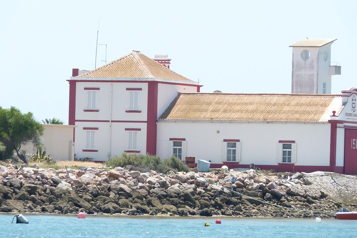 Katamarantur i Ria Formosa naturpark, besøker øyer som Culatra og Deserta fra Faro, Portugal, foto 14 | wizardtrip