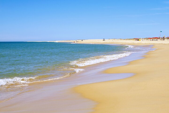 Katamarantur i Ria Formosa naturpark, besøker øyer som Culatra og Deserta fra Faro, Portugal, foto 15 | wizardtrip