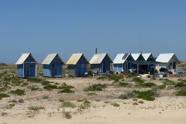 Katamarantur i Ria Formosa naturpark, besøker øyer som Culatra og Deserta fra Faro, Portugal, foto 16 | wizardtrip