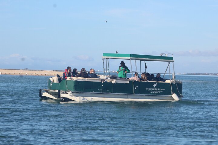 Excursion en catamaran dans le parc naturel de Ria Formosa, Faro, Portugal, visitant les îles Deserta et Farol, photo 7 | wizardtrip