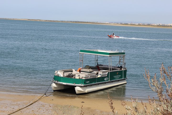 Excursion en catamaran dans le parc naturel de Ria Formosa, Faro, Portugal, visitant les îles Deserta et Farol, photo 9 | wizardtrip