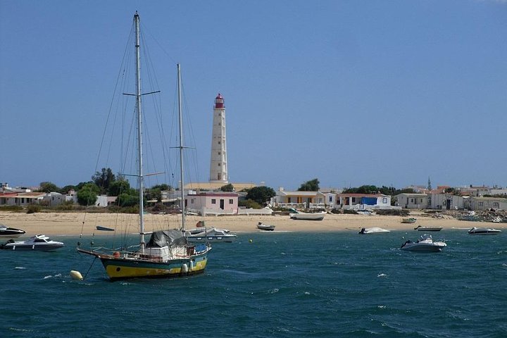 Excursion en catamaran dans le parc naturel de Ria Formosa, Faro, Portugal, visitant les îles Deserta et Farol, photo 10 | wizardtrip