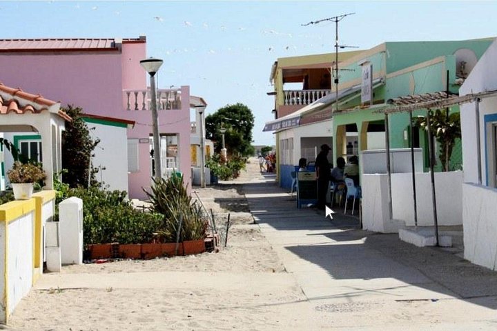 Excursion en catamaran dans le parc naturel de Ria Formosa, Faro, Portugal, visitant les îles Deserta et Farol, photo 14 | wizardtrip