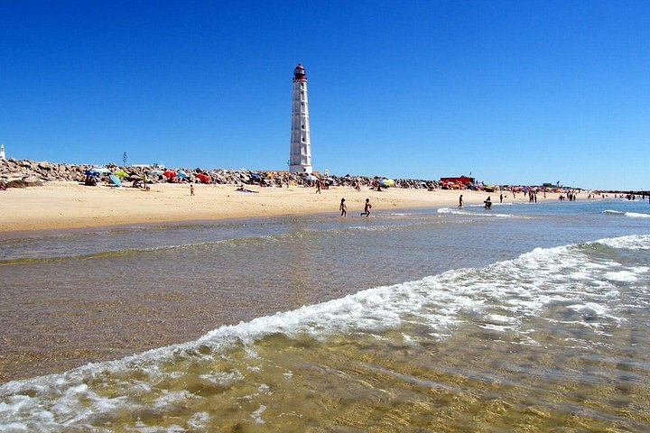 Excursion en catamaran dans le parc naturel de Ria Formosa, Faro, Portugal, visitant les îles Deserta et Farol, photo 15 | wizardtrip