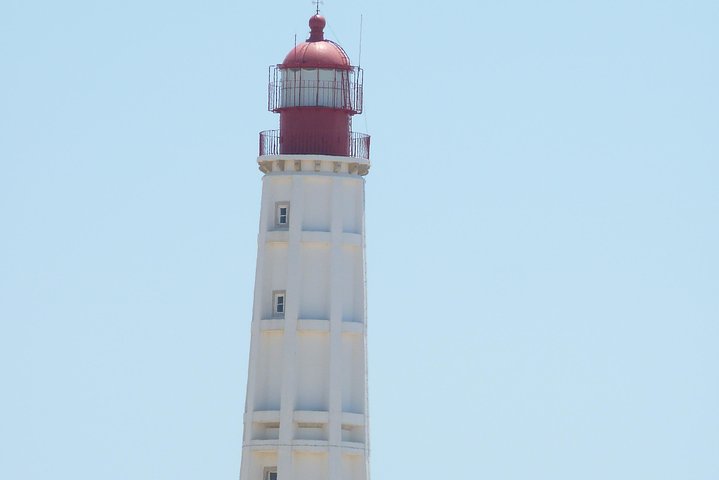 Excursion en catamaran dans le parc naturel de Ria Formosa, Faro, Portugal, visitant les îles Deserta et Farol, photo 16 | wizardtrip