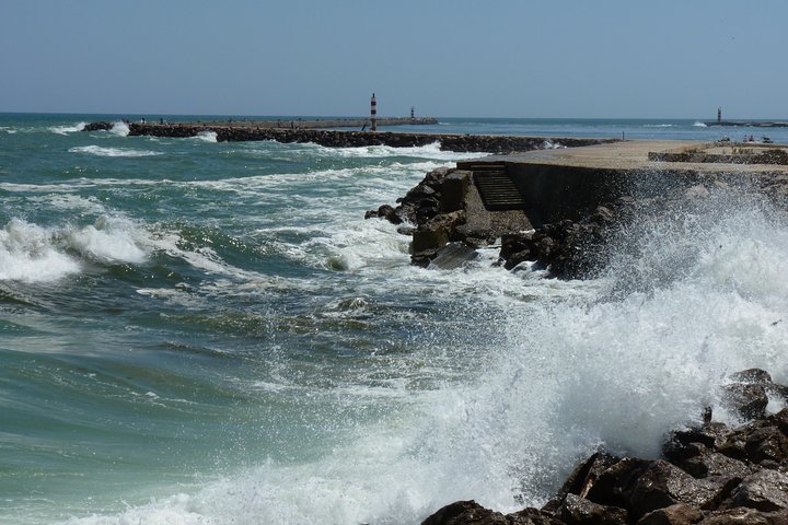 Excursion en catamaran dans le parc naturel de Ria Formosa, Faro, Portugal, visitant les îles Deserta et Farol, photo 18 | wizardtrip
