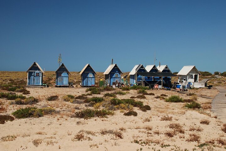 Excursion en catamaran dans le parc naturel de Ria Formosa, Faro, Portugal, visitant les îles Deserta et Farol, photo 23 | wizardtrip