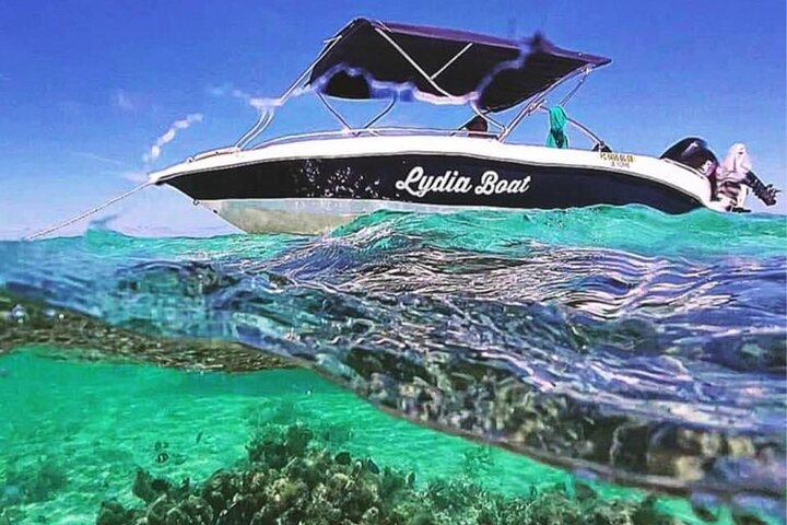 Lydia Boat Mauritius: Le Morne: Eco-Friendly Walvissen & Dolfijnen Tour | wizardtrip