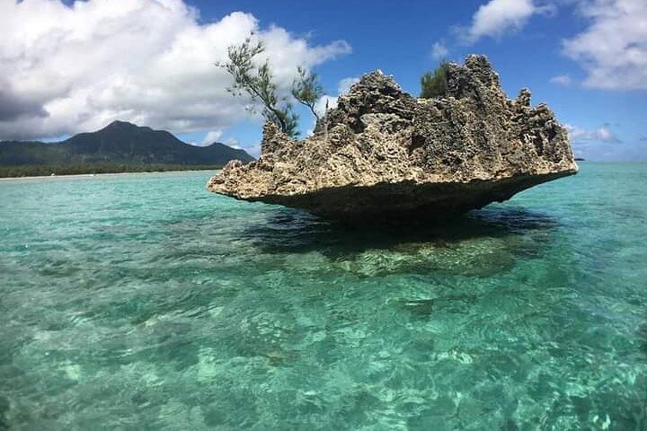 Tour ecologico di avvistamento delfini e balene con barca privata e BBQ sulla spiaggia a Mauritius, foto 7 | wizardtrip