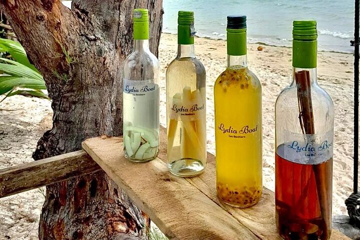 Tour ecologico di avvistamento delfini e balene con barca privata e BBQ sulla spiaggia a Mauritius, foto 10 | wizardtrip
