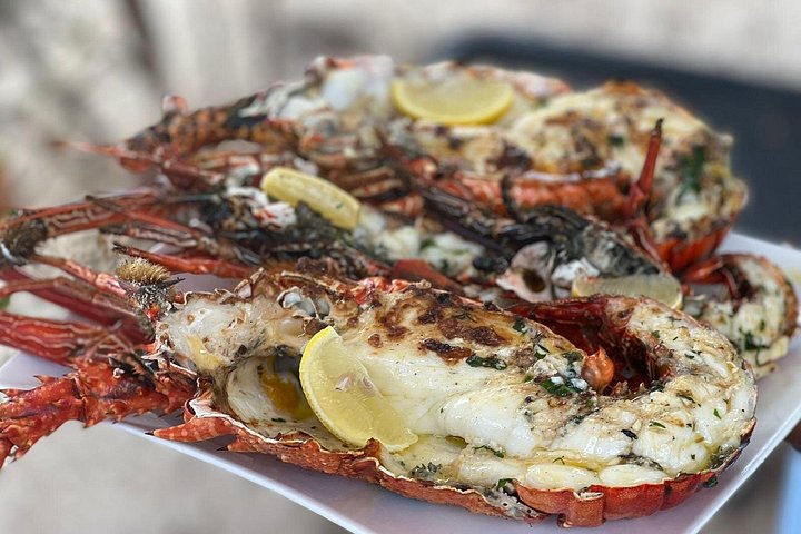 Tour ecologico di avvistamento delfini e balene con barca privata e BBQ sulla spiaggia a Mauritius, foto 12 | wizardtrip