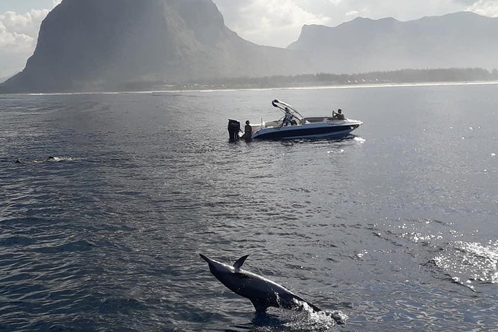 Tour ecologico di avvistamento delfini e balene con barca privata e BBQ sulla spiaggia a Mauritius, foto 13 | wizardtrip