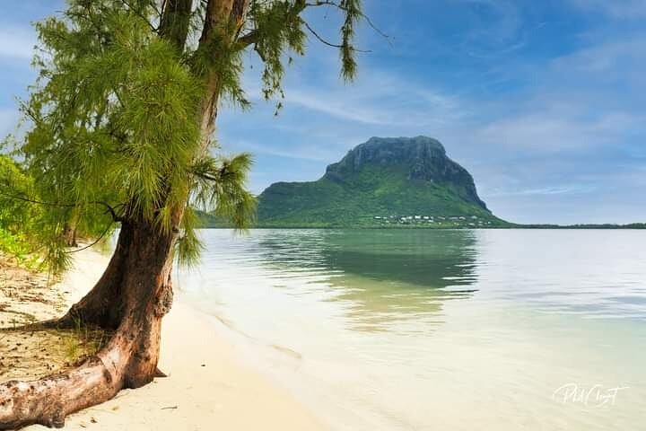 Tour ecologico di avvistamento delfini e balene con barca privata e BBQ sulla spiaggia a Mauritius, foto 18 | wizardtrip
